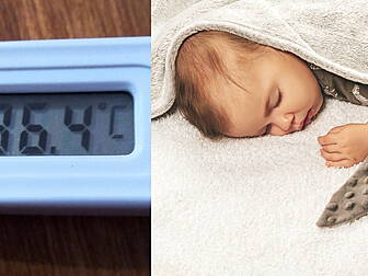 What Is The Perfect Temperatur...